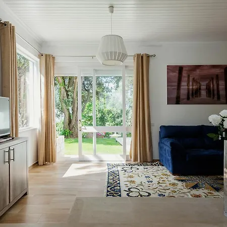 Βίλα Branca Do Castelo *