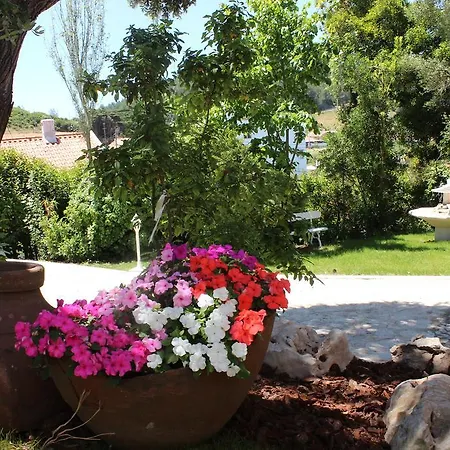 Branca Do Castelo Villa