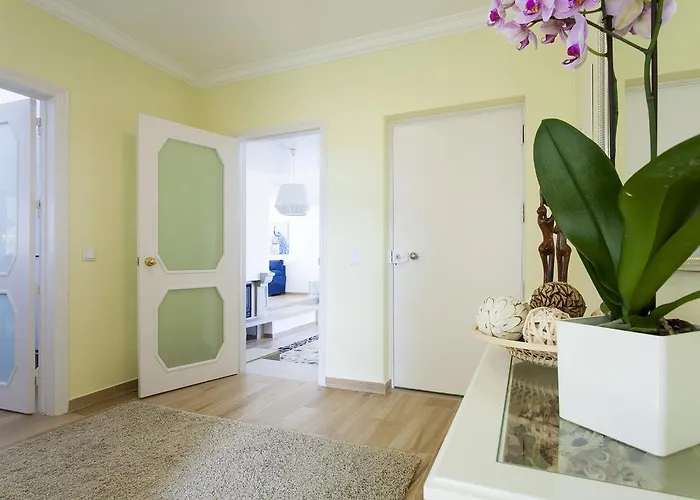 فيلة Branca Do Castelo