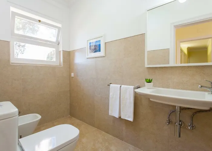 فيلة Branca Do Castelo